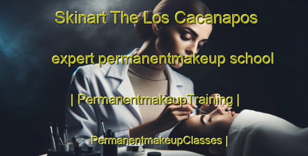 Skinart The Los Cacanapos expert permanentmakeup school | PermanentmakeupTraining | PermanentmakeupClasses | SkinartTraining-Mexico